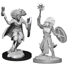 Nolzur's Miniatures Marvelous (unpainted): Changeling Cleric