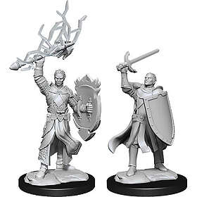 Nolzur's Miniatures Marvelous (unpainted): Half-Elf Paladin Male