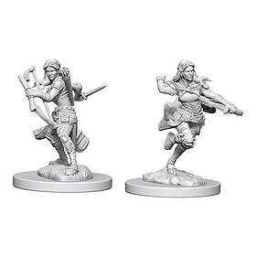 Nolzur's Miniatures Marvelous (unpainted): Air Genasi Female Rogue