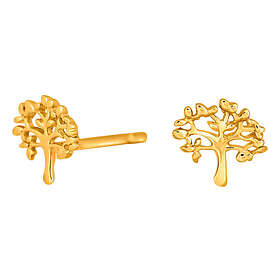 Nordahl Jewellery TREE52 örhängen guld 325 648-3