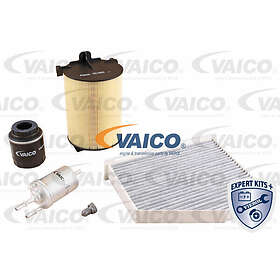 Vaico Delsats, serviceinspektion V10-7439