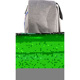 NASA 13L