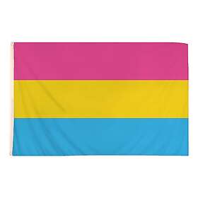 Henbrandt Flagga Pansexuell