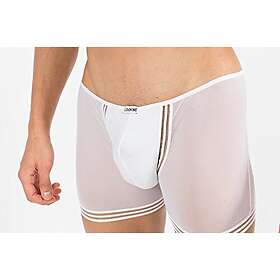 Look Me Boxer Tripler 