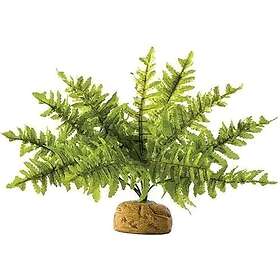 Hagen HAG.ROSL.D/TERRAR.BOSTON GERN 22CM 2990 58780
