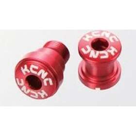 KCNC Drevbult Campagnolo