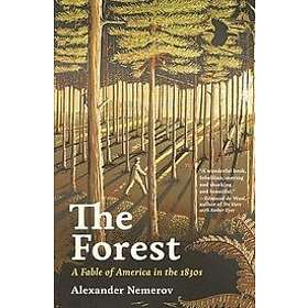 Alexander Nemerov: The Forest