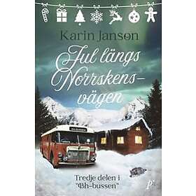 Karin Janson: Jul längs Norrskensvägen