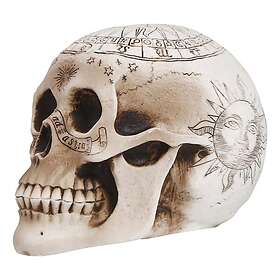 Dödskalle Ockult Prop