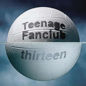 Teenage Fanclub Thirteen Vinyl