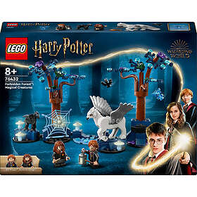 Acheter Pack Patronus Harry Potter Luna et Cho Spin Master 6063831