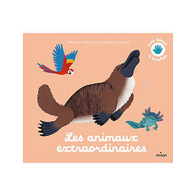 Jeunesse Livre Les animaux extraordinaires Milan