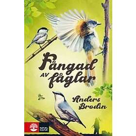 Fångad av fåglar Svenska EBook