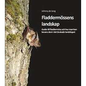 Johnny de Jong: Fladdermössens landskap