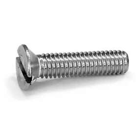 SeaSea Skruv Flatförs Skalle M6X100