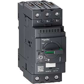 Schneider Electric GV3P73 Motorskyddsbrytare 62-73 A, med Everlink-anslutning