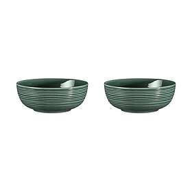 Seltmann Weiden Terra skål Ø20.4 cm 2-pack Moss Green