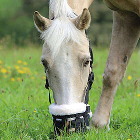 Shires Gräsreducerare Deluxe Comfort Grazing Muzzle (Storlek: Cob)