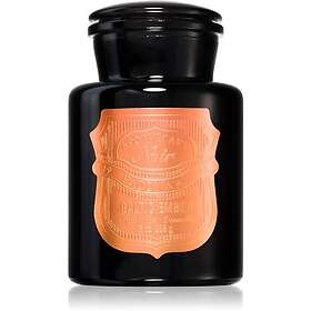 Paddywax Apothecary Noir Baltic Ember Scented Candle 226g