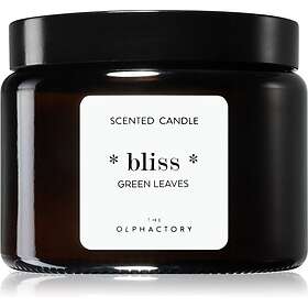 Ambientair The Olphactory Green Leaves Scented Candle 360g