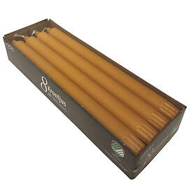 Inicio Kronljus Lejon 100% Stearin 28cm 8st 10h Svan