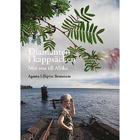 Agneta Lillqvist Bennstam: Diamanten i kappsäcken Min resa till Afrika