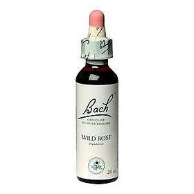 Bach s Blomsterterapi Wild Rose 20ml