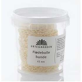 Urtegaarden Gräddbollar 45 mm 18 st