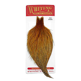 Whiting Silver Cape Brown