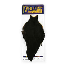 Whiting American Hen Cape White dyed Orange