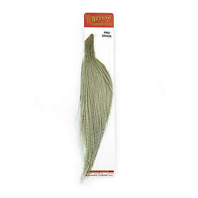 Whiting Pro Grade 1/2 Cape Grizzly dyed Coachman Brown