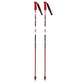 Vola Gs Carbon Poles