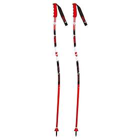 Vola Gs Alu Youth Poles