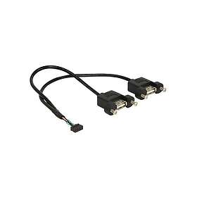 DeLock USB intern till extern kabel 10 stift USB-samling till USB 25 cm