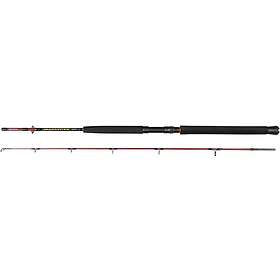 Daiwa SEAHUNTER SPIN 6' 2pc 80-200g