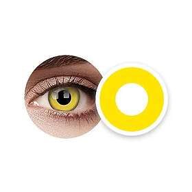 Monthly Contact Lenses