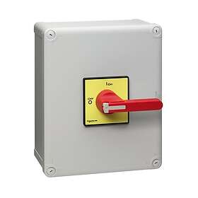 Schneider Electric Main emergency switch 32a
