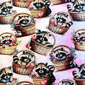 Raccoon ZannaZ Cute Basket Zelected By