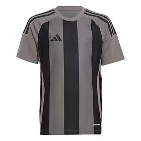 Adidas Striped 24 Short Sleeve T-shirt Grå 15-16 Years Pojke