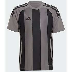 Adidas Striped 24 Short Sleeve T-shirt Grå 7-8 Years Pojke