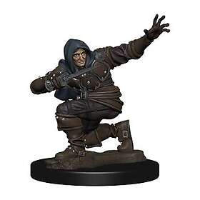 Pathfinder Battles: Premium Painted Figure Human Rogue Male