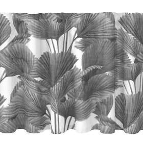 Brendan Gardinkappa, 2,5m