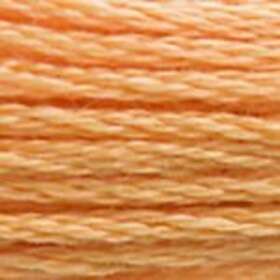 DMC Dmc Moulinegarn 3854