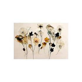 Pelcasa Poster Beautiful Dry Flowers 70x100 cm 2369247-4