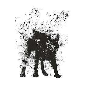 Pelcasa Poster Wet Dog 50x70 cm 2431460-3