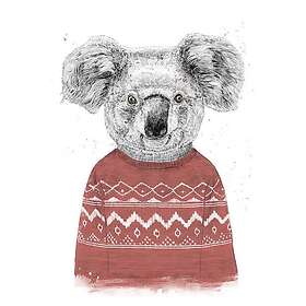 Pelcasa Poster Winter Koala Red (Red) 70x100 cm 2431451-4