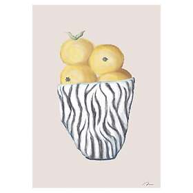 Pelcasa Poster Zebra Bowl 30x40 cm 2069354-2