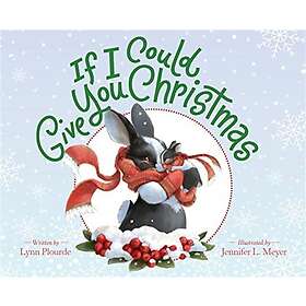 Lynn Plourde If I Could Give You Christmas Bok