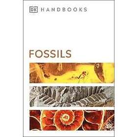 Dk, David Ward: Fossils