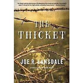 Joe R Lansdale: Thicket